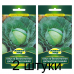 Семена Капуста белокоч. Дитмарская ранняя (W. Legutko) 1 г, РБ -2шт