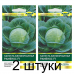 Семена Капуста белокоч. Раменос F1 (Hazera) 10 шт, РБ -2шт Семена Капуста белокоч. Раменос F1 (Hazera) 10 шт, РБ -2шт