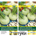 Капуста кольраби Деликатесная белая, 1г (N.L.Chrestensen, Германия) -2шт Капуста кольраби Деликатесная белая, 1г (N.L.Chrestensen, Германия) -2шт