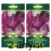 Семена Капуста краснокоч. Калибос (W. Legutko) 0,3 г, РБ -2шт
