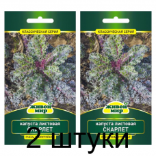 Семена Капуста листовая Скарлет (W. Legutko) 0,5 г, РБ -2шт