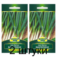 Семена Лук батун Винтерхеке (W. Legutko) 1 г, РБ -2шт