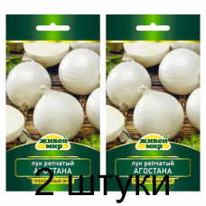 Семена Лук репч. Агостана (W. Legutko) 1 г, РБ -2шт
