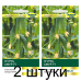 Семена Огурец Амур F1 (Bejo Zaden) 5 шт, РБ -2шт