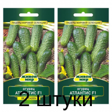Огурец Атлантис F1 (Bejo Zaden, Нидерланды) -2шт