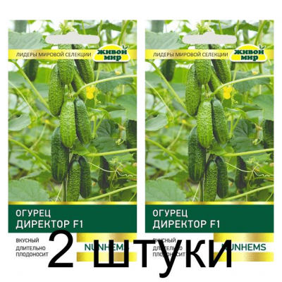 Семена Огурец Директор F1 (Nunhems) 5 шт, РБ -2шт