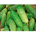 Огурец Родничок F1, 1г (W. Legutko, Живой мир) -2шт