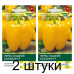 Семена Перец сладкий Соланор F1 (Clause) 5 шт, РБ -2шт