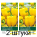 Семена Перец сладкий Спрингбокс F1 (Clause) 5 шт, РБ -2шт