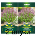 Семена Базилик Коричный (N.L.Chrestensen) 0,5 г, РБ -2шт Семена Базилик Коричный (N.L.Chrestensen) 0,5 г, РБ -2шт