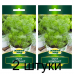 Семена Укроп Компакт (W. Legutko) 5 г, РБ -2шт Семена Укроп Компакт (W. Legutko) 5 г, РБ -2шт