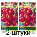 Семена Редис Джолли (Clause) 2 г, РБ -2шт