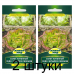 Семена Салат кочанный Чудо четырех сезонов (W. Legutko) 1 г, РБ -2шт