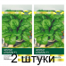 Семена Шпинат Аполло F1 (Sakata) 2 г, РБ -2шт Семена Шпинат Аполло F1 (Sakata) 2 г, РБ -2шт