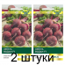 Семена Свекла Водан F1 (Bejo Zaden) 100 шт, РБ -2шт