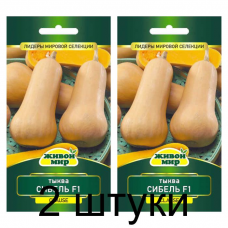 Семена Тыква мускатная Сибель F1 (Clause) 4 шт, РБ -2шт