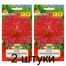 Семена Астра Гигантские лучи красная (W. Legutko) 0,3 г, РБ -2шт