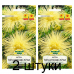 Семена Астра Гигантские лучи кремово-желтая (W. Legutko) 0,3 г, РБ -2шт