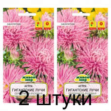 Семена Астра Гигантские лучи серебристо-розовая (W. Legutko) 0,3 г, РБ -2шт