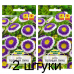 Семена Астра Голубая луна (W. Legutko) 0,3 г, РБ -2шт Семена Астра Голубая луна (W. Legutko) 0,3 г, РБ -2шт