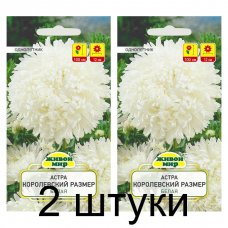Семена Астра Королевский размер белая (W. Legutko) 0,3 г, РБ -2шт