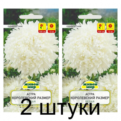 Семена Астра Королевский размер белая (W. Legutko) 0,3 г, РБ -2шт