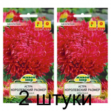 Семена Астра Королевский размер красная (W. Legutko) 0,3 г, РБ -2шт
