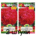 Семена Астра Королевский размер красная (W. Legutko) 0,3 г, РБ -2шт