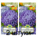 Семена Астра Королевский размер светло-голубая (W. Legutko) 0,3 г, РБ -2шт