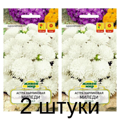 Семена Астра Миледи белая карликовая (W. Legutko) 0,3 г, РБ -2шт