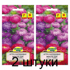Семена Астра Миледи карликовая смесь сортов (W. Legutko) 0,5 г, РБ -2шт