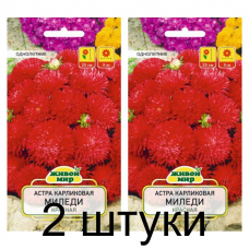 Семена Астра Миледи красная карликовая (W. Legutko) 0,3 г, РБ -2шт