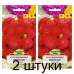 Семена Астра Миледи красная карликовая (W. Legutko) 0,3 г, РБ -2шт Семена Астра Миледи красная карликовая (W. Legutko) 0,3 г, РБ -2шт