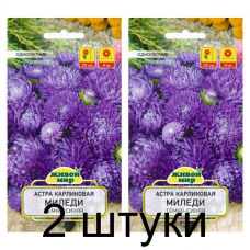 Семена Астра Миледи темно-синяя карликовая (W. Legutko) 0,3 г, РБ -2шт