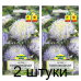 Семена Астра Пионовидная Серебряная башня (N.L.Chrestensen) 0,3 г, РБ -2шт