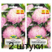 Семена Астра Пионовидная серебристо-розовая (W. Legutko) 0,3 г, РБ -2шт