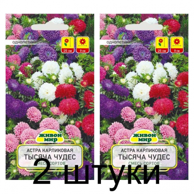 Семена Астра Тысяча чудес карликовая смесь (W. Legutko) 0,3 г, РБ -2шт