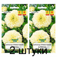 Семена Бархатцы пр. Аляска (W. Legutko) 1 г, РБ -2шт