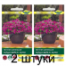 Семена Петуния  Тайдал Вейв F1 Парпл ампельная (PanAmerican Seed) 5 шт, РБ -2шт