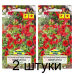 Семена Петуния многоцветковая Компакта красная (W. Legutko) 0,2 г, РБ -2шт Семена Петуния многоцветковая Компакта красная (W. Legutko) 0,2 г, РБ -2шт