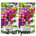 Семена Петуния Балконная смесь сортов ампельная (W. Legutko) 0,2 г, РБ -2шт