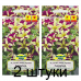 Семена Петуния ампельная крупноцветковая Лавина Пурпурно-желтая звезда F1 (Cerny seed) 10 шт, РБ -2шт