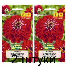 Семена Цинния Вишневая королева (W. Legutko) 1 г, РБ -2шт