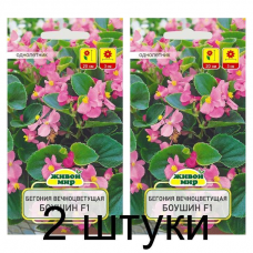 Бегония вечноцветущая Боушин F1, 10 семян (Cerny seed, Чехия) -2шт