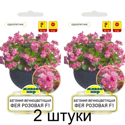 Бегония вечноцветущая Фея розовая F1, 10 семян (Cerny seed, Чехия) -2шт