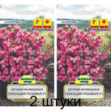 Бегония межвидовая Сенсация Розовая F1, 10 семян (Cerny seed, Чехия) -2шт