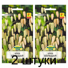 Семена Бриза Большая (W. Legutko) 0,3 г, РБ -2шт
