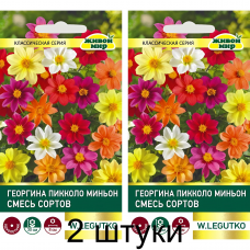 Георгина Пикколо Миньон, смесь сортов 0,5г (W. Legutko, Польша) -2шт