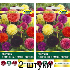 Георгина Помпонная, смесь сортов 0,3г (W. Legutko, Польша) -2шт