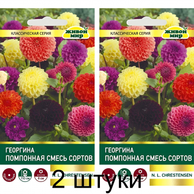 Георгина Помпонная, смесь сортов 0,3г (W. Legutko, Польша) -2шт